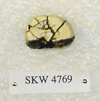 SKW 4769