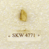 SKW 4771