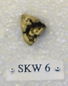 SKW 6
