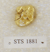 STS 1881