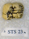 STS 23