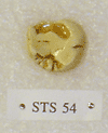 STS 54