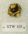 STW 103