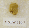 STW 110