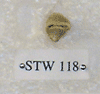 STW 118