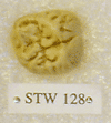 STW 128