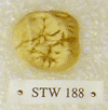 STW 188