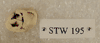 STW 195
