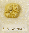STW 204