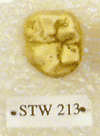STW 213