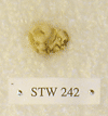 STW 242