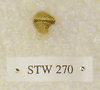STW 270