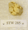 STW 285