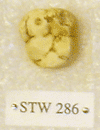 STW 286