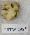 STW 295
