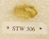 STW 306