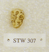 STW 307