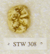 STW 308