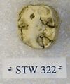 STW 322