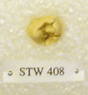 STW 408