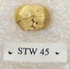 STW 45