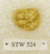 STW 524