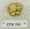 STW 530