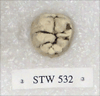 STW 532