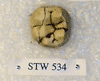 STW 534