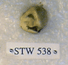 STW 538