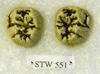 STW 551