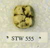 STW 555