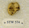 STW 574