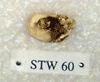 STW 60