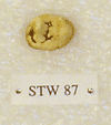 STW 87