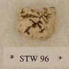 STW 96