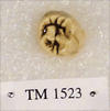 TM 1523