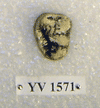YV 1571