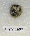 YV 1697