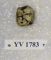YV 1783