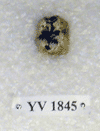 YV 1845